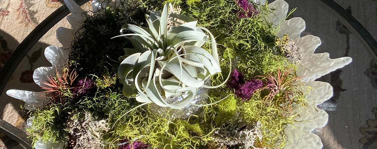 White Rock Garden Club Floral Art