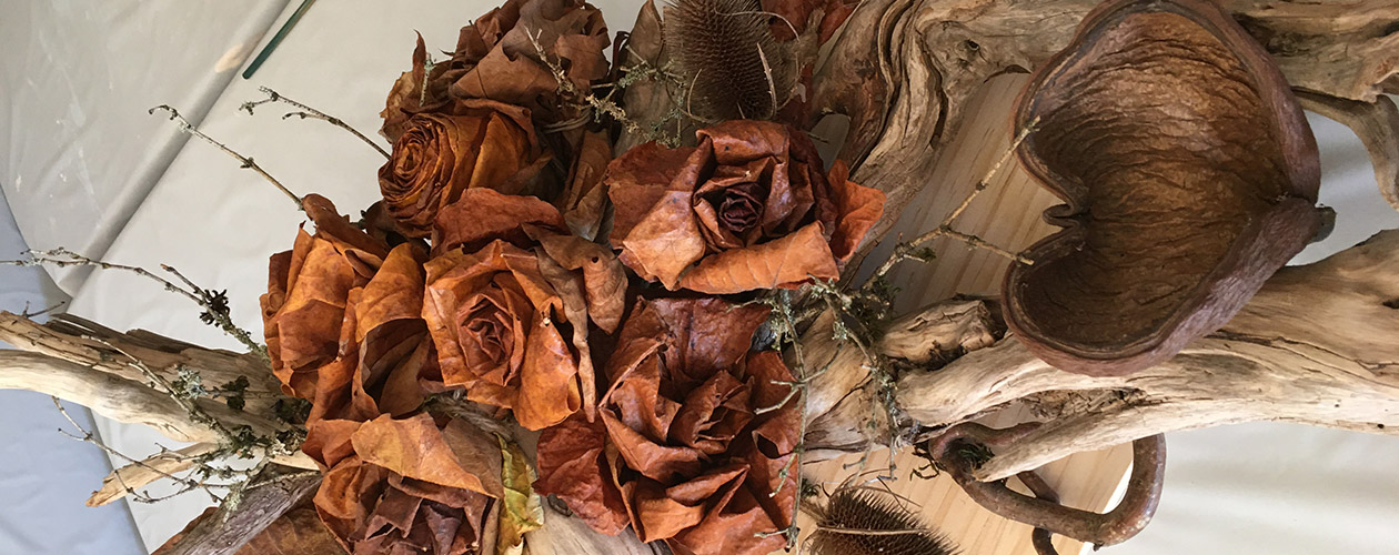 White Rock Garden Club Floral Art