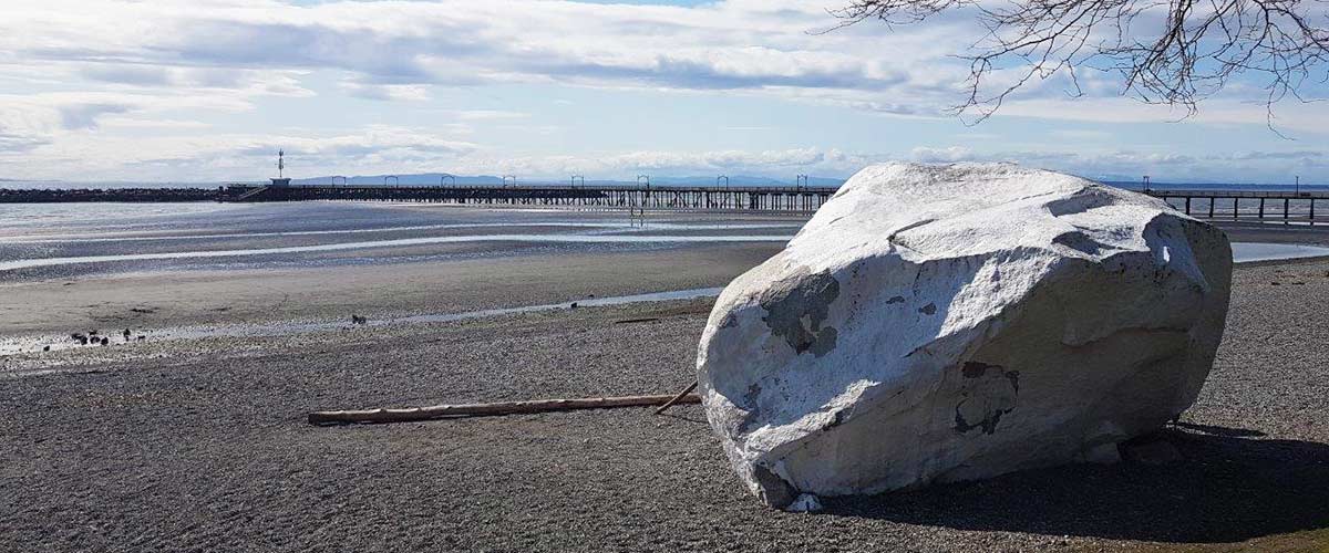 Get in Contact with the White Rock Garden Club Here